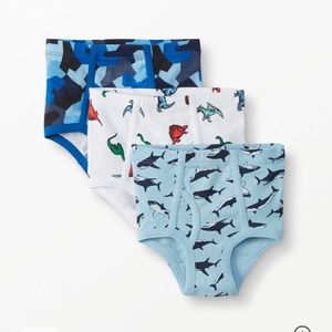 Hanna Andersson Organic Briefs 3 pack